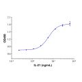 Recombinant Human IL-21 Protein