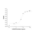 Recombinant Human IL-28A/IFN-lambda 2 Protein