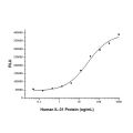 Recombinant Human IL-31 Protein