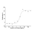 Recombinant Human IL-34 Protein