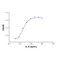 Recombinant Human IL-6 Protein