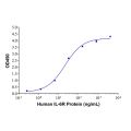 Recombinant Human IL-6R Protein