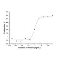Recombinant Human IL-9 Protein