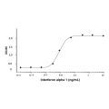 Recombinant Human Interferon alpha 1 Protein