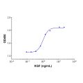 Recombinant Human KGF/FGF-7 Protein (rp148028)-Protein Bioactivity
Measured in a cell proliferation assay using 4MBr‑5 rhesus monkey epithelial cell. The ED50 for this effect is typically <1.38ng/mL.