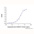 Recombinant Human LILRB1/CD85j/ILT2 Protein