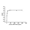 Recombinant Human LTBR Protein