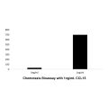 Recombinant Human CCL15 Protein