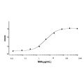 Recombinant Human Melanoma Inhibitory Activity Protein