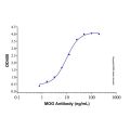 Recombinant Human MOG Protein