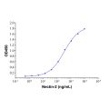 Recombinant Human Nectin-2/CD112 Protein
