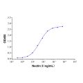 Recombinant Human Nectin-3 Protein