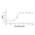 Recombinant Human Neuroserpin Protein