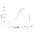 Recombinant Human NRG1/HRG1 Protein