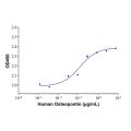 Recombinant Human Osteopontin Protein