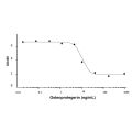 Recombinant Human Osteoprotegerin Protein