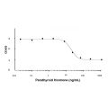 Recombinant Human Parathyroid Hormone Protein