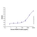 Recombinant Human PDGFC Protein