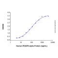 Recombinant Human PDGFR alpha Protein