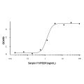 Recombinant Human Serpin F1/PEDF Protein