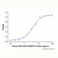 Recombinant Human PGLYRP1/PGRP-S Protein
