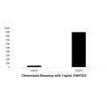 Recombinant Human RANTES Protein