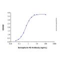 Recombinant Human Semaphorin 4D Protein