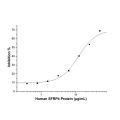 Recombinant Human SFRP4 Protein