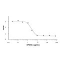 Recombinant Human SPARC Protein