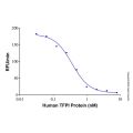 Recombinant Human TFPI Protein