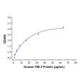 Recombinant Human TIM 3 Protein