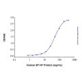 Recombinant Human TMIGD2/CD28H Protein