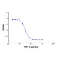 Recombinant Human TNF-alpha Protein (rp152506)- Protein Bioactivity
Measured in a cytotoxicity assay using L‑929 mouse fibroblast cells in the presence of the metabolic inhibitor actinomycin D (Catalog # A113142). The ED50 for this effect is typically <0