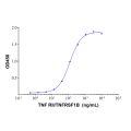 Recombinant Human TNF RII/TNFRSF1B Protein