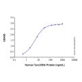 Recombinant Human Tyro3/Dtk Protein