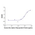 Recombinant Human Zinc Alpha 2 Glycoprotein