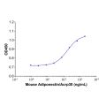 Recombinant Mouse Adiponectin/Acrp30 Protein