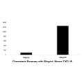 Recombinant Mouse CXCL16 Protein