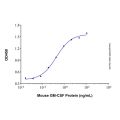 Recombinant Mouse GM-CSF Protein