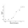 Recombinant Mouse B7-H2 Protein