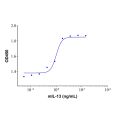 Recombinant Mouse IL-13 Protein