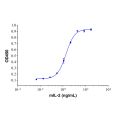 Recombinant Mouse IL-2 Protein