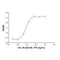 Recombinant Mouse IL-36 alpha/IL-1F6 Protein