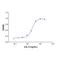 Recombinant Mouse IL-4 Protein