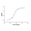 Recombinant Mouse IL-6 Protein