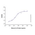 Recombinant Mouse IL-6 Protein