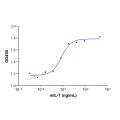 Recombinant mouse IL-7 protein