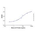 Recombinant Mouse LIF Protein