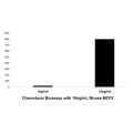Recombinant Mouse MCP2 Protein