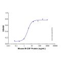 Recombinant Mouse M-CSF Protein